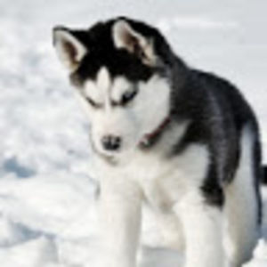 Meet your Posher, Jaylin